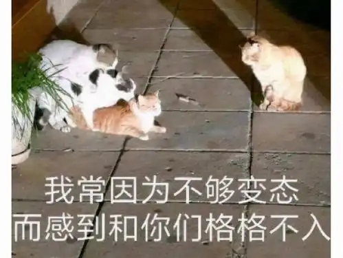 玩游戏能有多变态给玩家戴绿帽就算了,还要帮老婆勾引千金小姐