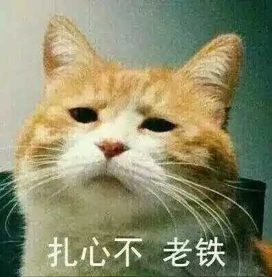 网络一线牵,珍惜这段缘,还不赶紧来冲浪