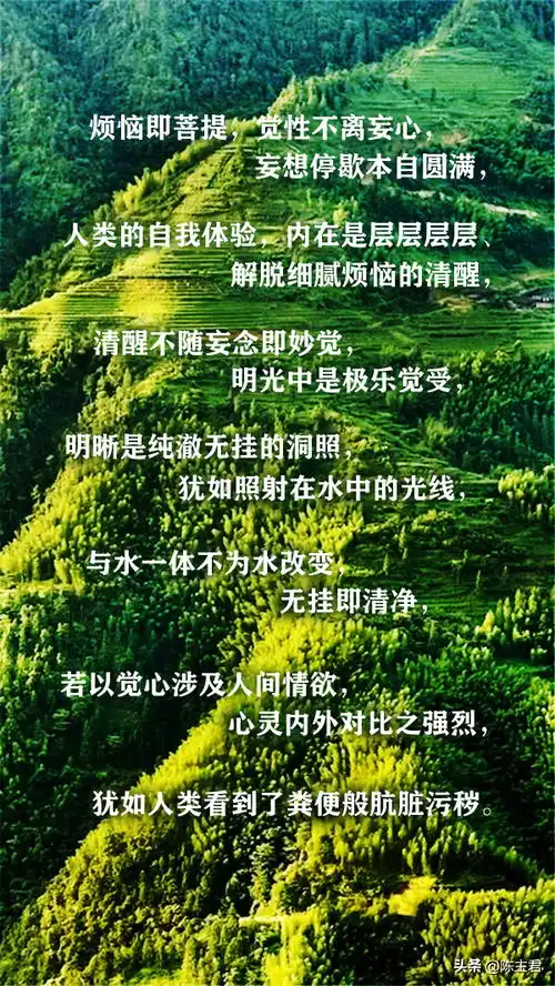 慧如坐禅修定,端坐七天,巍然不动