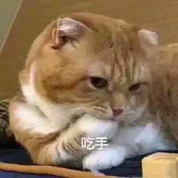 难道这就是传说中,别看我天线宝宝整天嘤,一拳打死一个没问题