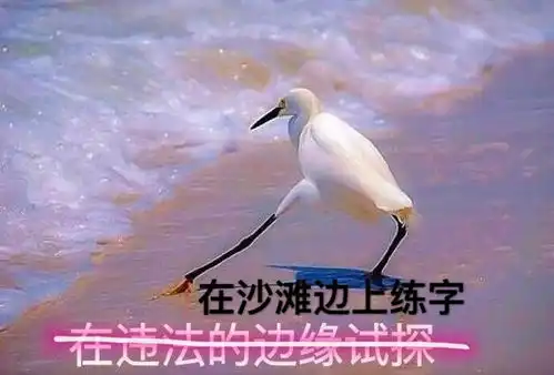 2017年最热表情包盘点,现在保存还来得及