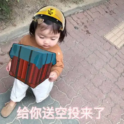 萌娃吃鸡表情包小哥哥你在吗给你送空投来了