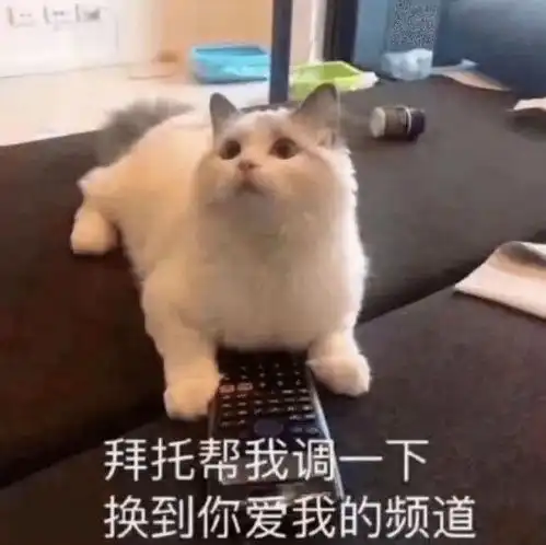 跨年晚会热搜又霸屏热点槽点全在这