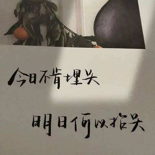 可以分享一些你认为很温柔或者很励志的句子吗
