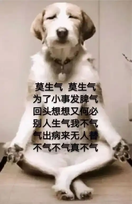 好好的一个人,怎么就成了数学学渣呢小学数学该如何学习