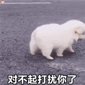 每日沙雕表情包