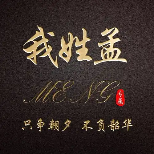 暗黑商务质感姓氏签名头像,将你的个性签名写在其中,不要错过