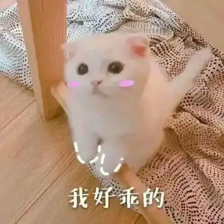 户外宝藏椅,像沙发一样舒服,1秒折叠收纳,还能开瓶盖放手机