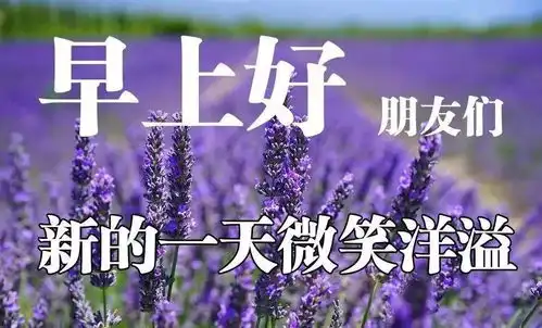 生活有进退,输什么也不能输心情与其羡慕别人,不如做好自己于是便