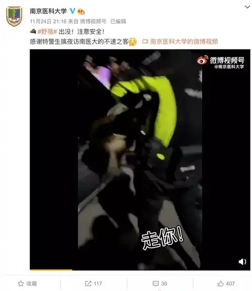 野猪闯进南京医科大学,表情包疯传警方提醒