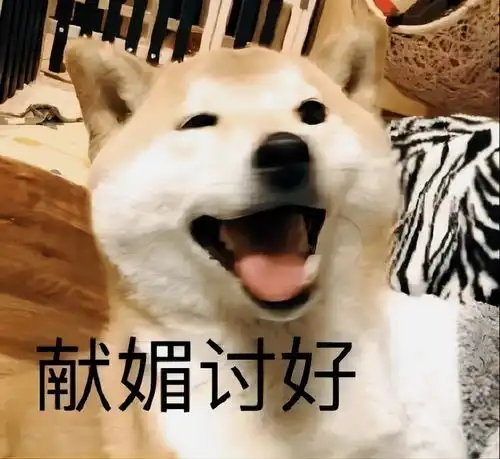一个35岁的中年女人离婚之后