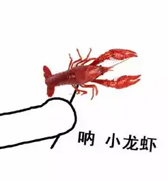 只记住小龙虾求婚可知25网友因寂寞网购小龙虾