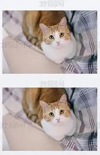 可爱圆专题模板可爱圆图片素材下载我图网