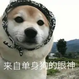 单身狗斗图表情包秀恩爱小分队