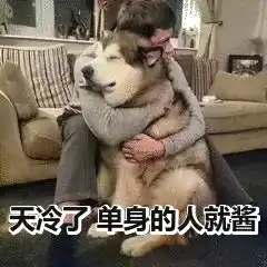 qq空间沙雕文案3