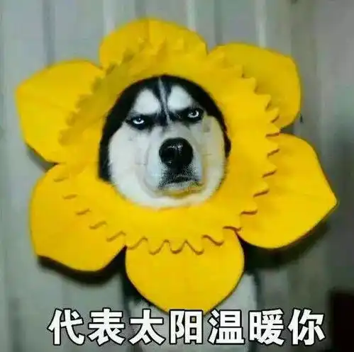 对不起,我们来晚了致健身爱好者的一封道歉信