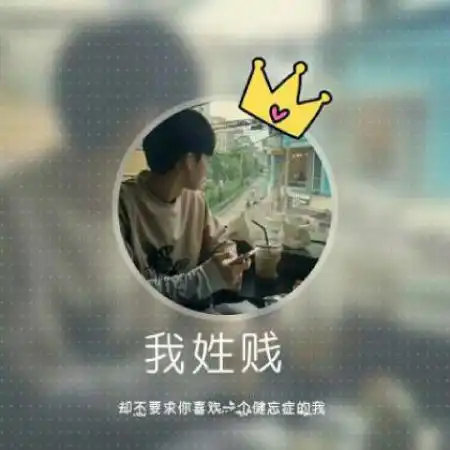 男生姓氏头像,圆形边框加上皇冠加上我姓什么