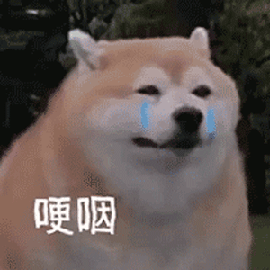 不可以色色