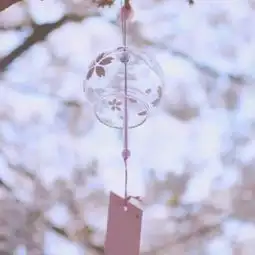 最唯美微信头像真实花草图片好看有意境的风景微信头像