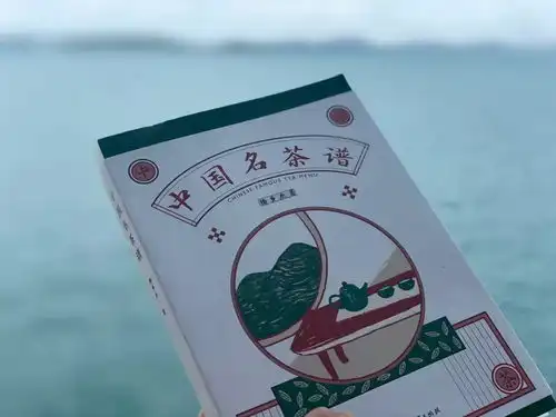 2020年第一次,正在招募中
