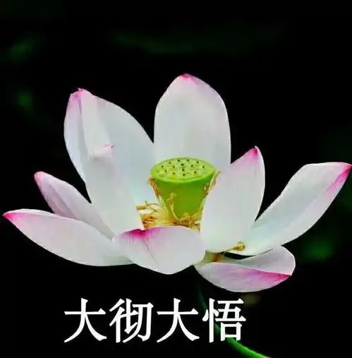 可以混进家长群的头像