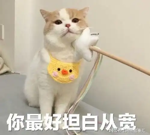 猫咪在挨打时,为何不敢反抗知道真相的我眼泪掉下来