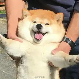 外卖小哥嫌出菜速度慢自己上手炒菜