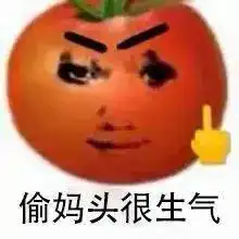 救命太沙雕了番茄偷妈头系列表情包