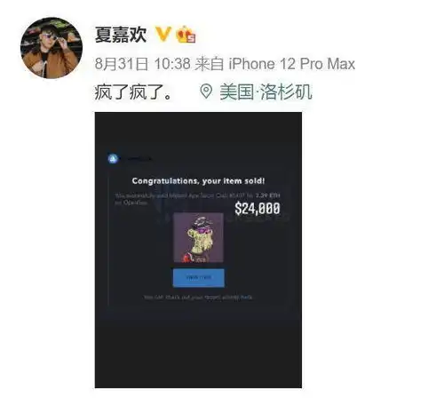 百万头像席卷互联网,起底nft背后超级平台opensea