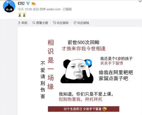 钉钉官方在线回复一星差评网络一线牵珍惜这段缘