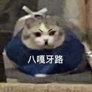 可爱萌宠沙雕表情包第二弹在挨就不里猫了