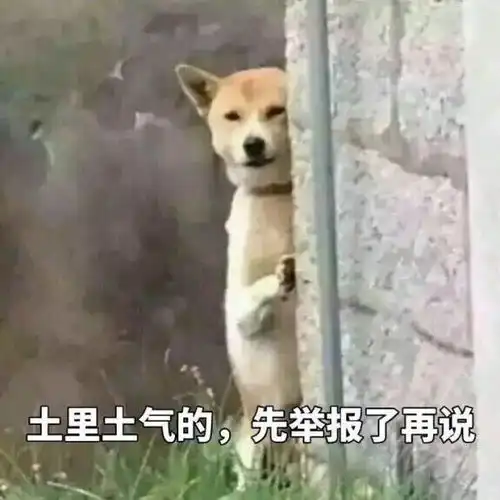 表情包我不管我不管,先举报再说