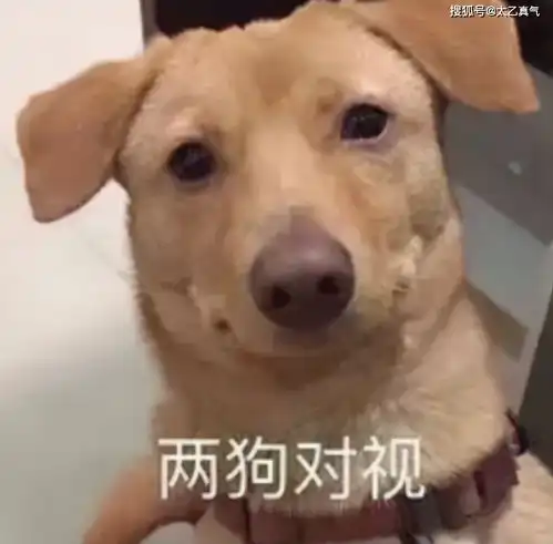 同样是我养你,为什么周星驰感人肺腑,王思聪却被讽为葱油饼