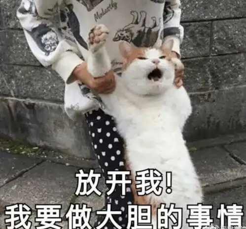 多所国际高中被世界名校拉黑offer作废一路造假的保录取,毁了谁的人生