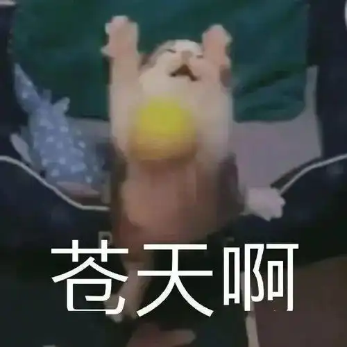 可爱沙雕搞笑表情包快乐回来了