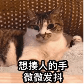 超可爱的女生聊天表情包