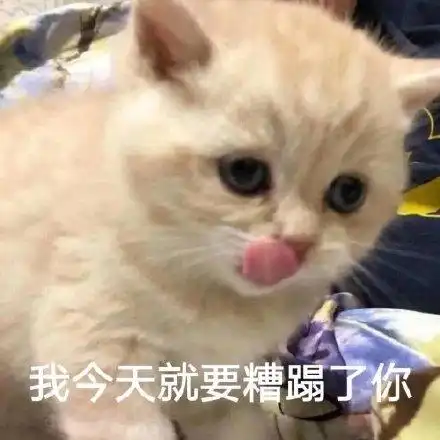 又一组超可爱的表情包我今天就要糟蹋了你
