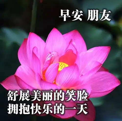 早上好图片表情祝福语最新早安祝福问候唯美图片加句子