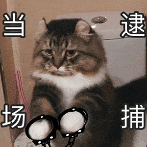 表情包合集