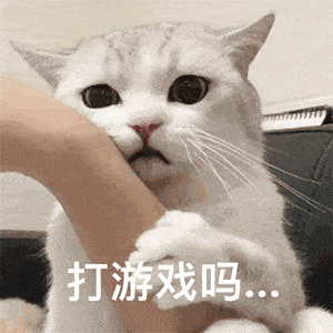 可爱聊天表情包已读不回