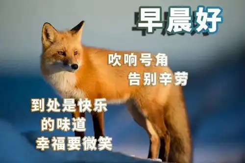 秋天到了早上好表情包图片动态,大家早上好动画图片大全