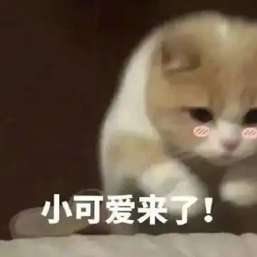 表情包小可爱来了