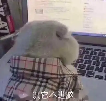 缓解心理的疲惫,倾听来自山青的抚慰