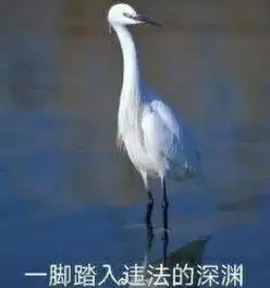 8岁孩子偷家里钱,还说谎骗人,妈妈的处理网友纷纷点赞