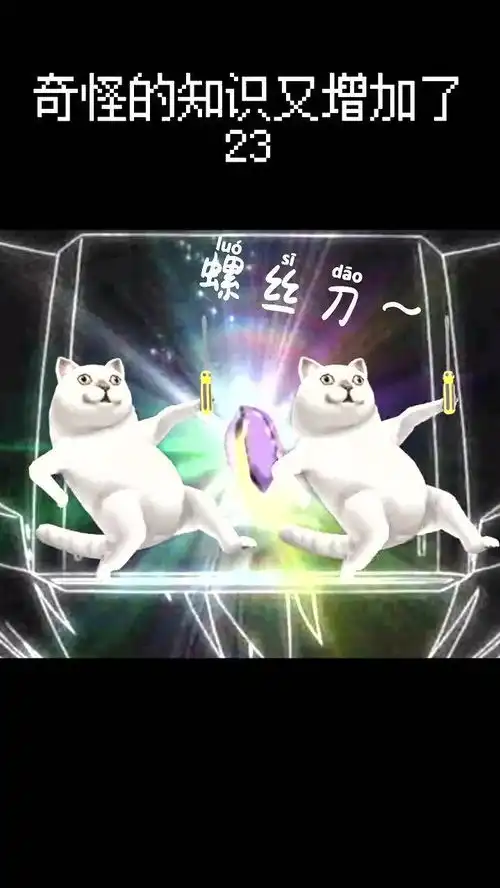 嚯嚯手捻螺丝刀,江湖任我飘沙雕mur猫