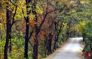 行走在油画中,穿行在岁月里