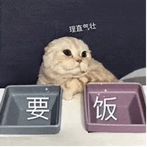 李佳琦凌晨敲锣逼疯网友昨晚你琦困无比了吗