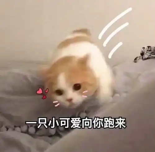 明唐唐毒虐心钺二