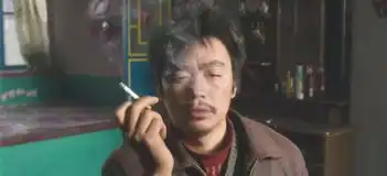 求一张树先生里王宝强吸烟表情包