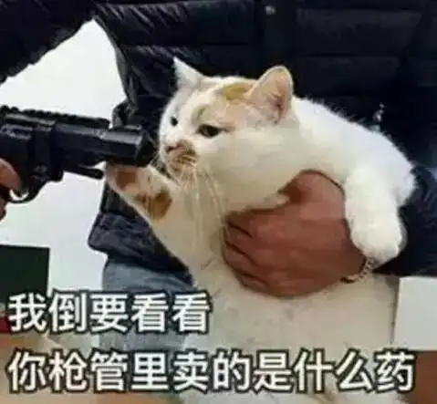 设计师猫what